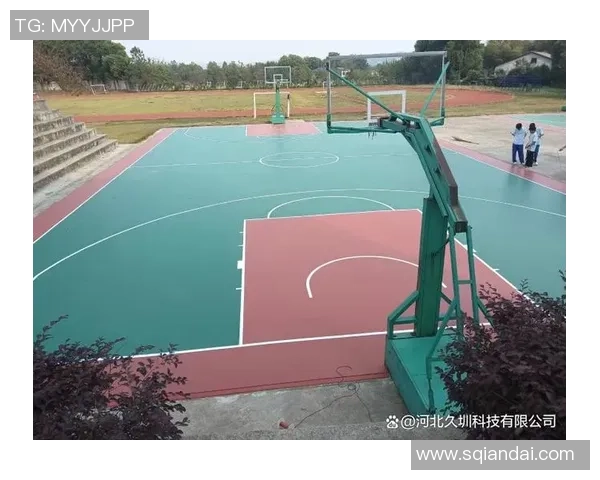 国际篮联篮球场的建设与发展对全球篮球运动的影响与展望